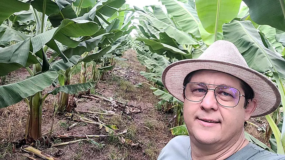 Banana_ervino1_BODY Climate change threatens Latin American banana exports