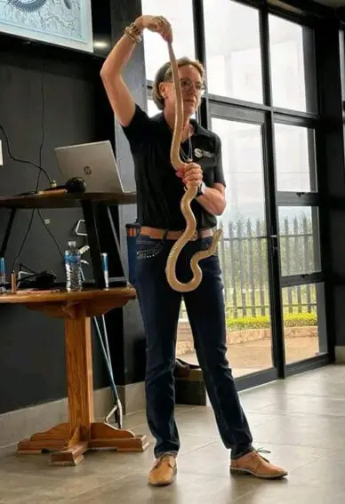 Blackmamba_ThearKoen_BODY-388x567-1-1 Antivenom push saves lives from snake bites in Eswatini