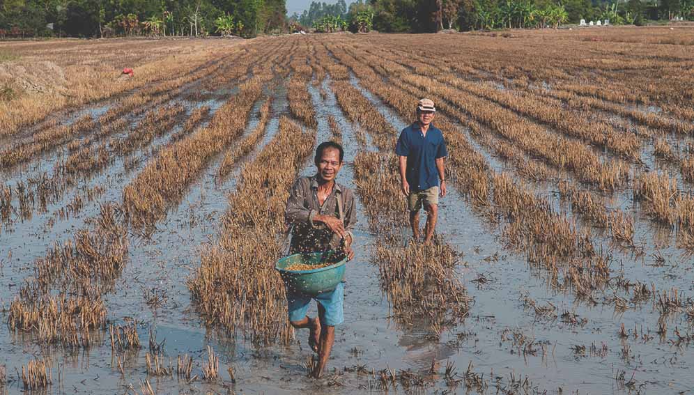 Rice farmers working in their fields in Vietnam's Mekong Delta which is known for changing weather conditions. Up to half of global cropland is at risk in low-latitude countries as temperatures rise, scientists say. Copyright: G. Smith / CIAT. (CC BY-NC-SA 2.0)