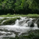 Although the Baños del San Juan River (Cuba) is located in a rural area, it is not free of microplastics, demonstrating that even areas without high human concentration also experience this type of pollution. Copyright: Barry Cornelius Creative Commons CC BY-NC-SA 2.0