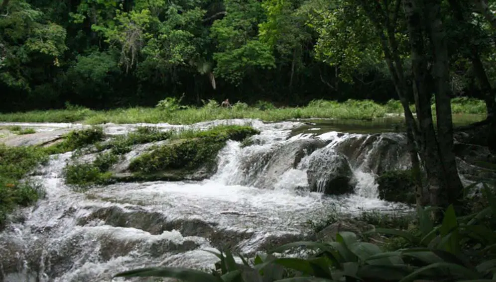 Although the Baños del San Juan River (Cuba) is located in a rural area, it is not free of microplastics, demonstrating that even areas without high human concentration also experience this type of pollution. Copyright: Barry Cornelius Creative Commons CC BY-NC-SA 2.0