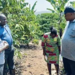Lead researcher Simon Peter Musinguzi (wearing a cap) during soil sampling in Masaka, central Uganda, where the organic fertiliser has been applied. Copyright: John Musenze / SciDev.Net