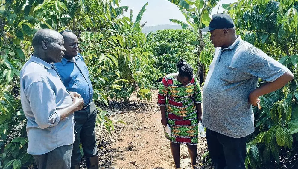 Lead researcher Simon Peter Musinguzi (wearing a cap) during soil sampling in Masaka, central Uganda, where the organic fertiliser has been applied. Copyright: John Musenze / SciDev.Net