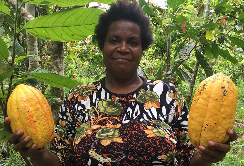 Papua_woman_Cocoa_harvest_MAIN Hand pollination helps cocoa farmers offset climate harm