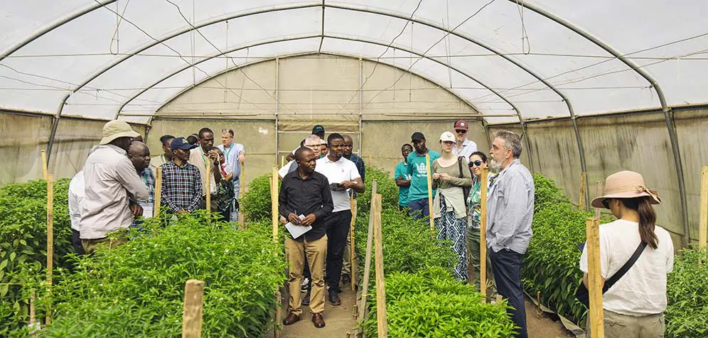 image Climate-proof seed trials yield results in Rwanda